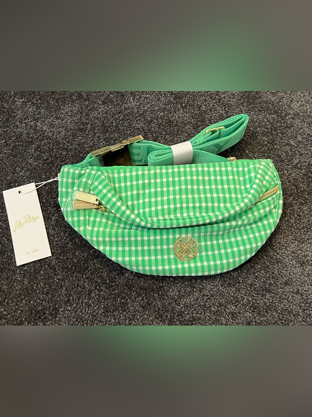 Lilly Pulitzer Fauna Green Gingham Performance Glenna Belt Bag NWT NIP - Picture 1 of 7